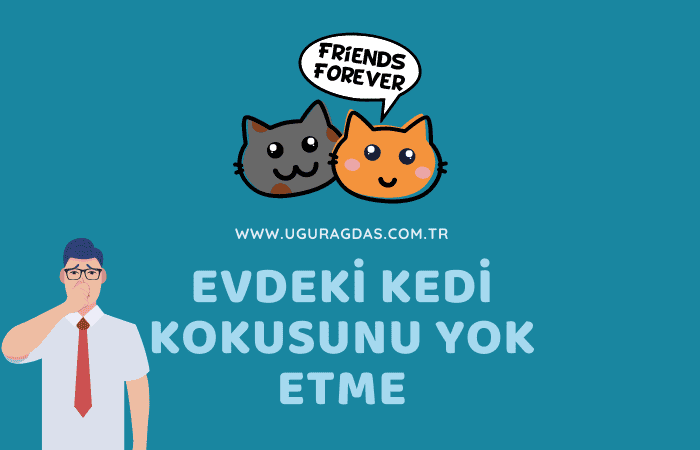 Kedi kokusunu yok etme