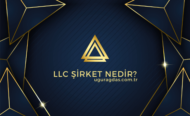 LLC Şirket Nedir?